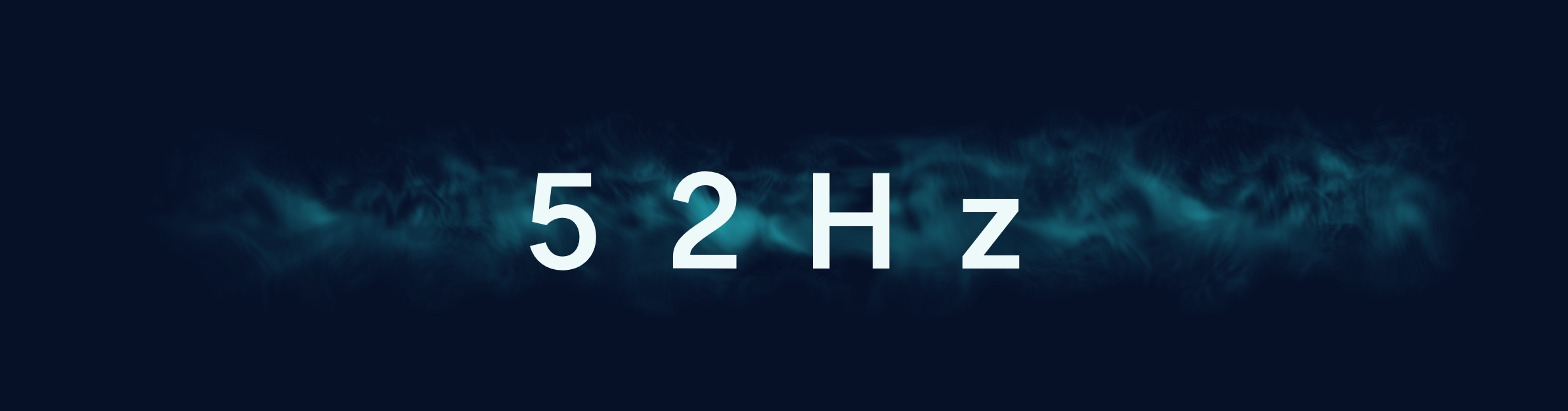52hz whale banner